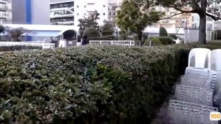 复数凭依分魂器